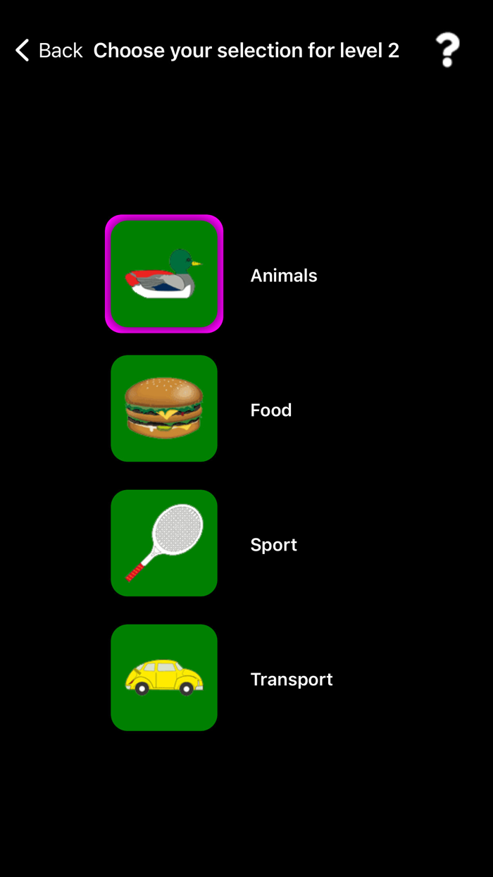 Mastering Memory Pictures
