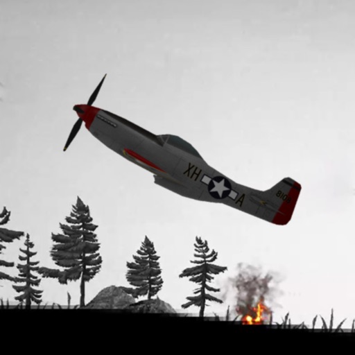 WW2 Warplane Fighter Bomber iOS App