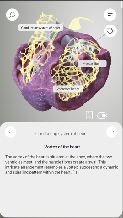3D Heart Anatomyのおすすめ画像2