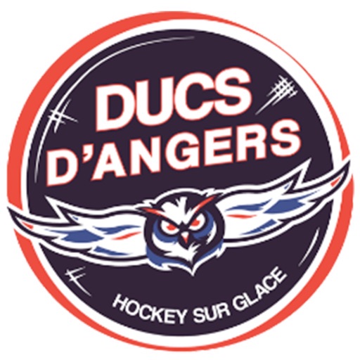 Ducs d'Angers