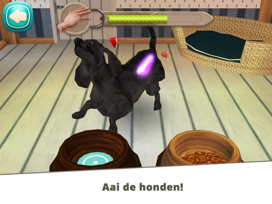 Dog Hotel Premium iPad app afbeelding 9