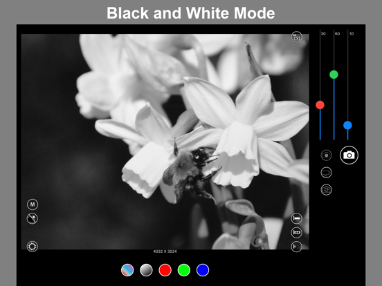 Screenshot #5 pour Silver B&W Camera