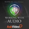 Audio Course for Reaper icon