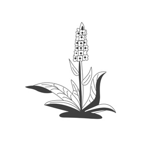 螢幕擷取畫面 (4) Ihm-App