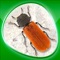 Insecta 360, the most complete application about insects available in the App Store