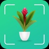 Plant Identifier & Information icon