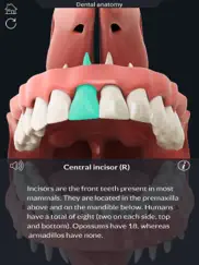 my dental anatomy ipad resimleri 2