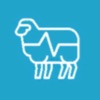 Sheep EAD AR - iPhoneアプリ