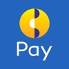 Damane Pay icon