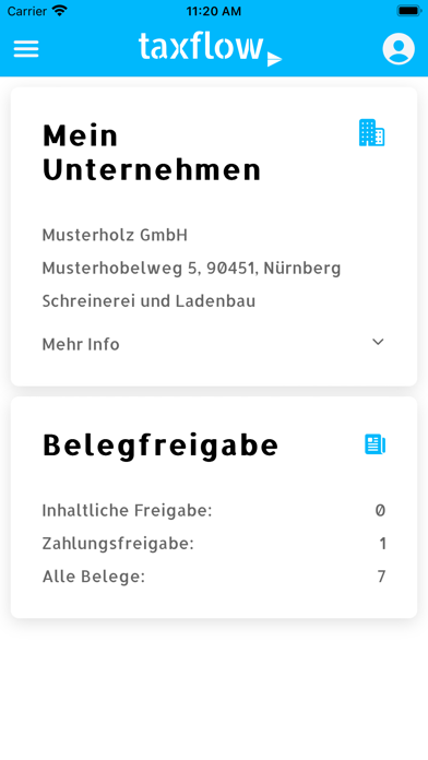 Taxflow Austria Screenshot