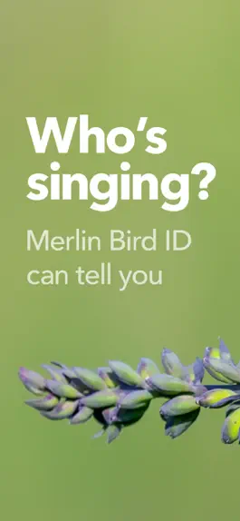 Game screenshot Merlin Bird ID by Cornell Lab mod apk