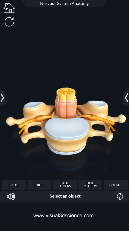 #7. My Nervous System Anatomy (iOS) 由: Santosh Chavan