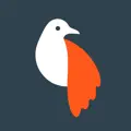 Olli Photo to Sketch Videos