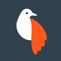 Olli Photo to Sketch Videos