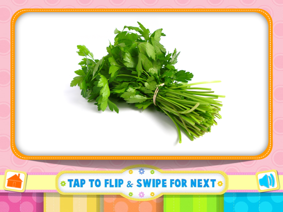 Screenshot #6 pour Tamizh Flash Cards- Vegetables
