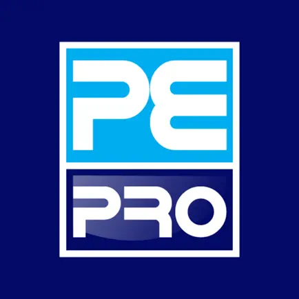 PE PRO Читы
