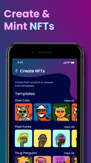 nft art creator · problems & solutions and troubleshooting guide - 2