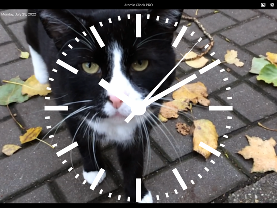 Atomic Clock PRO iPad screenshot 8 - Utilities app