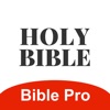 Bible Pro 主內聖經 icon