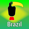 The Birds of Brazil - I.M.D. Publicacion C.A.