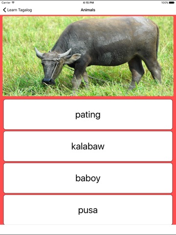 Learn Tagalog - Flashcardsのおすすめ画像5