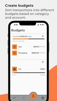 budgetized iphone screenshot 3