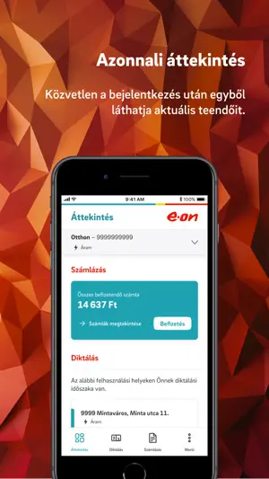 E.ON Ügyfélszolgálat screenshot 2