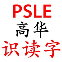PSLE Higher Chinese FlashCards