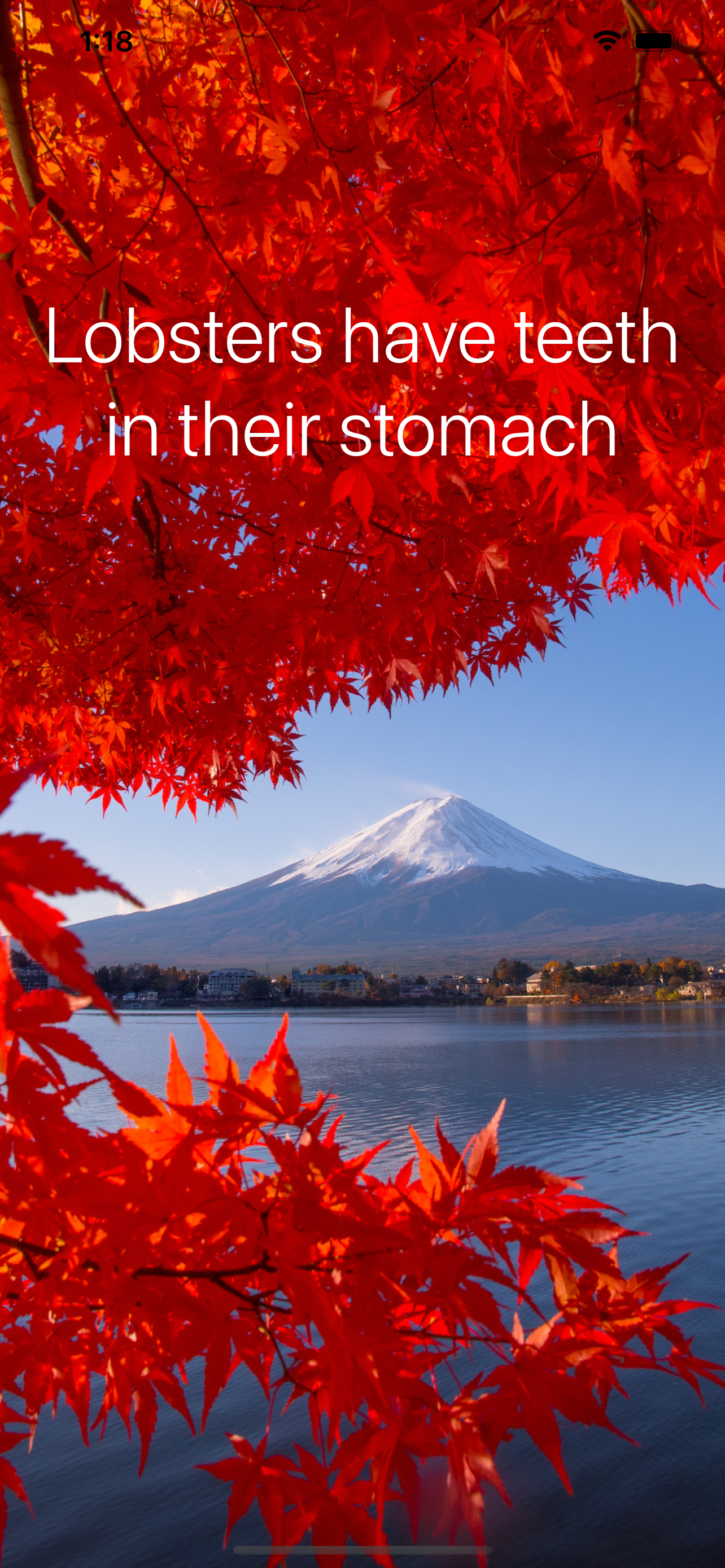 Fact of the Day