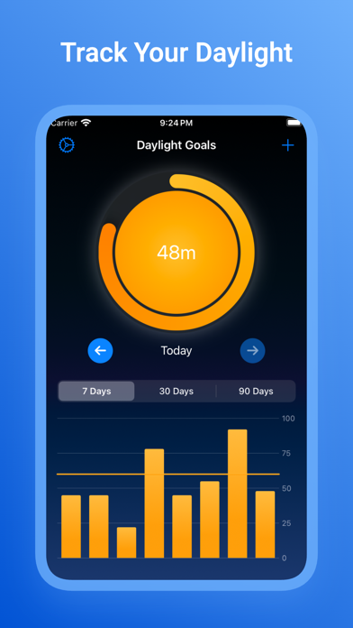 Daylight Goals Screenshot