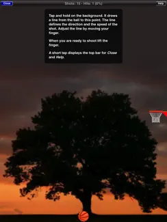 Basketball Game iPad image 3