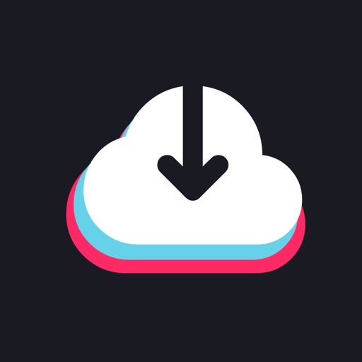 TicTok saver: watch & download iOS App