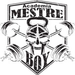 Download Academia Mestre Boy app