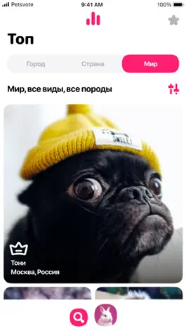 Game screenshot Petsvote mod apk