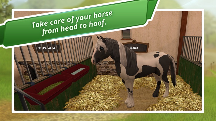 HorseWorld: Premium screenshot-0