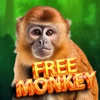 Release the Monkey icon