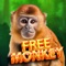 Release the Monkey