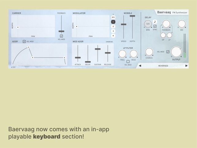 Baervaag - FM Synthesizer on the App Store