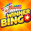 Bingo Winner Jackpot icon