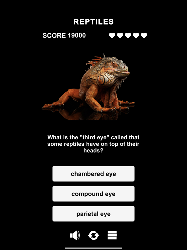 ‎Animal Class Screenshot