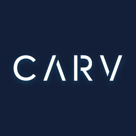 Carv Digital Ski Coach Читы