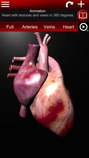 Circulatory System 3D Anatomy screenshot 2