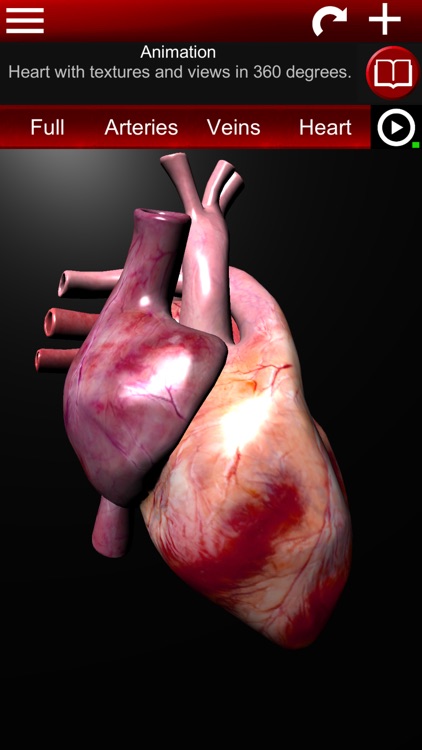 Circulatory System 3D Anatomy
