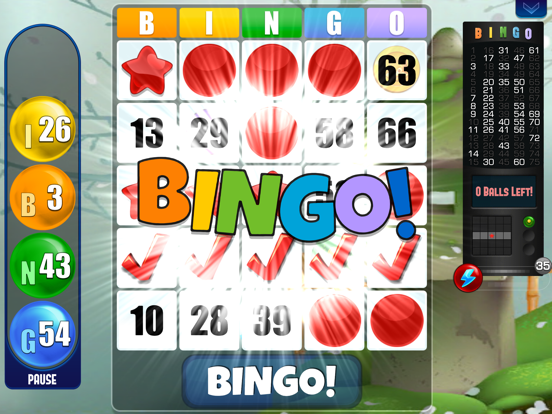 Bingo! Absolute Bingo Games iPad app afbeelding 6