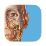 Download 3D Human Anatomy Atlas 2024 app