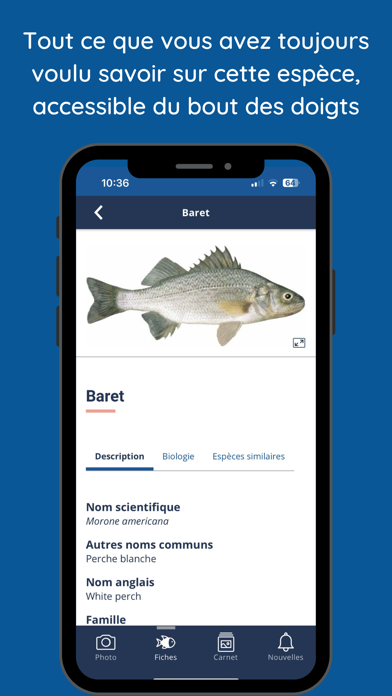 iPêche Screenshot