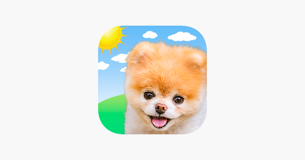 Boo Weather: Pomeranian Puppy na usluzi App Store