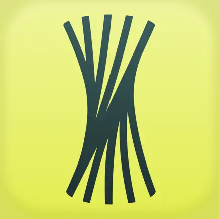 Remento: Record Family Stories Читы
