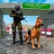One of top games about security by police and army, Play the dog master in border security forces, your responsibility is check every person entering in the country and exiting from country from any crimes, people are continuously smuggling drugs and weapons, criminals and entering in country and escaping from the country
