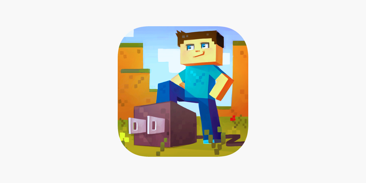 Plug For Minecraft On The App Store
